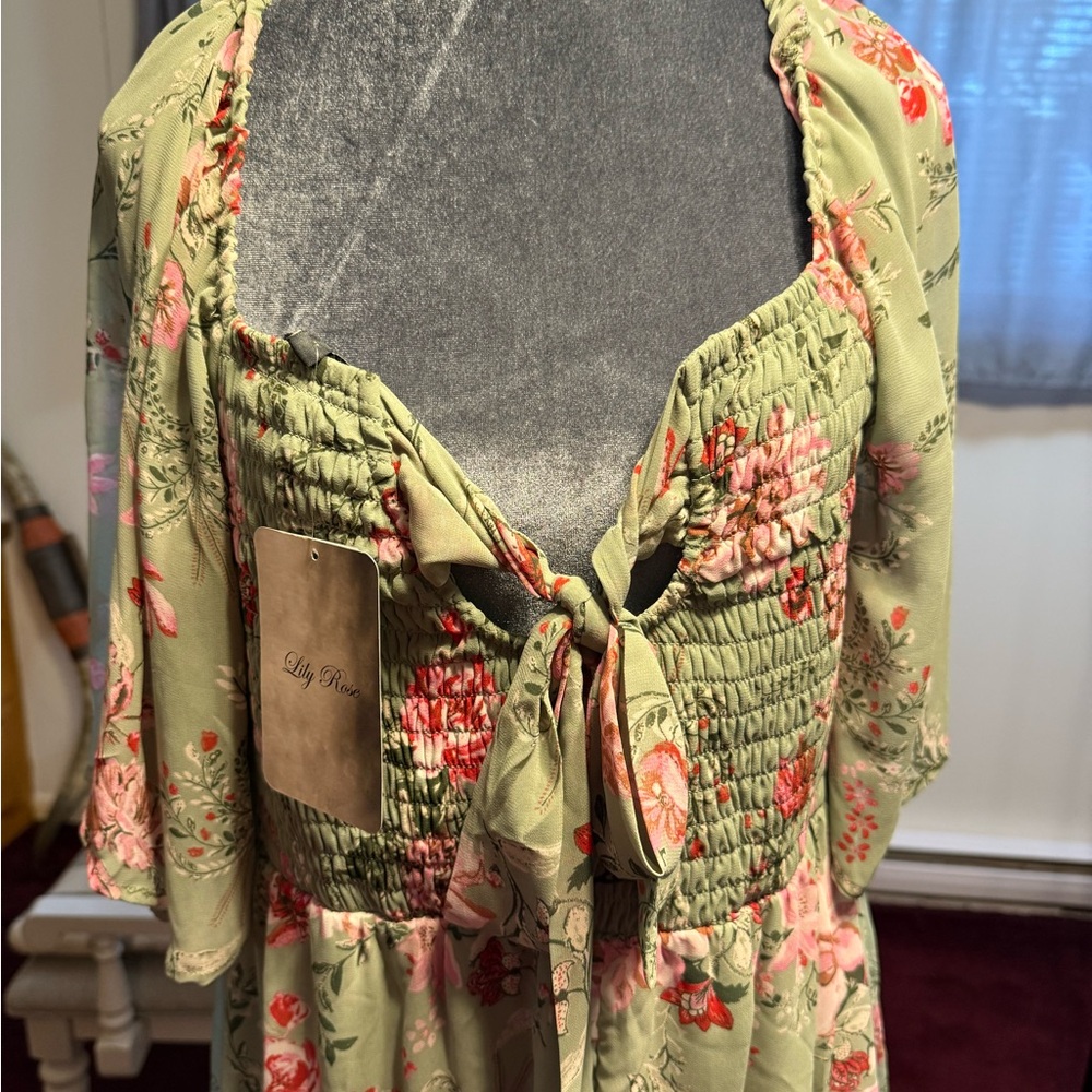Lilly rose Floral Green dresswith Pink Accents NWT